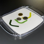 Монетниця двошарова